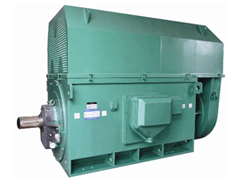 东河镇Y系列6KV高压电机一年质保